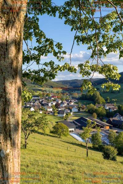 Ausblick auf Oberhenneborn