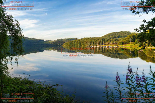 Hennesee - Sommer 3