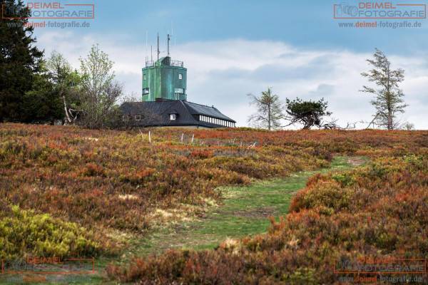 Astenturm - Frühling 1