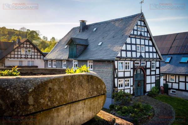 Assinghausen - Frühling 3