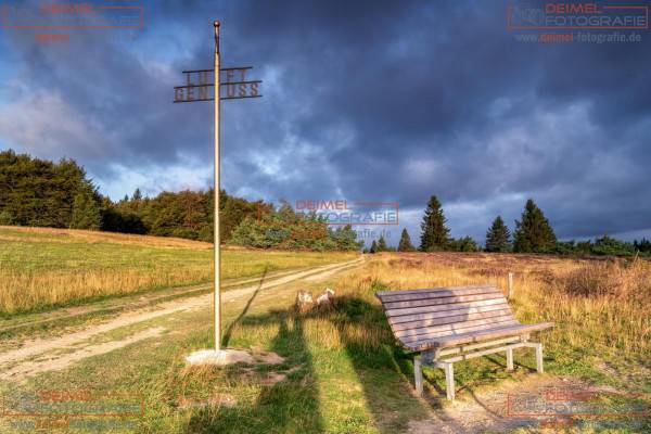 Niedersfelder Hochheide - Sommer 3