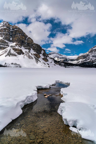 Bow Lake - 1