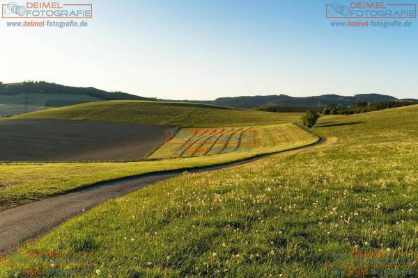 Feldweg Oberhenneborn