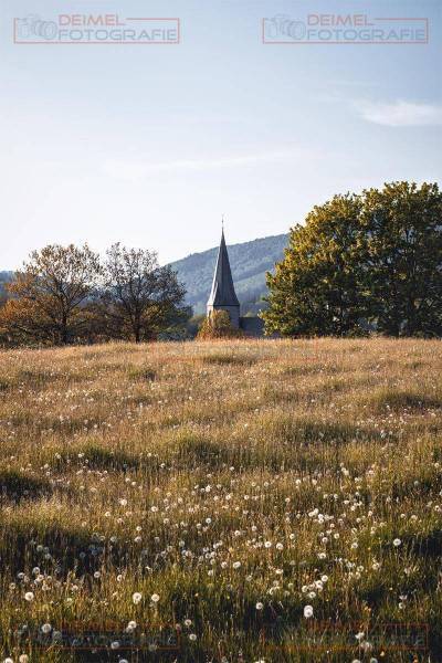 Kirchturm mit Löwenzahn