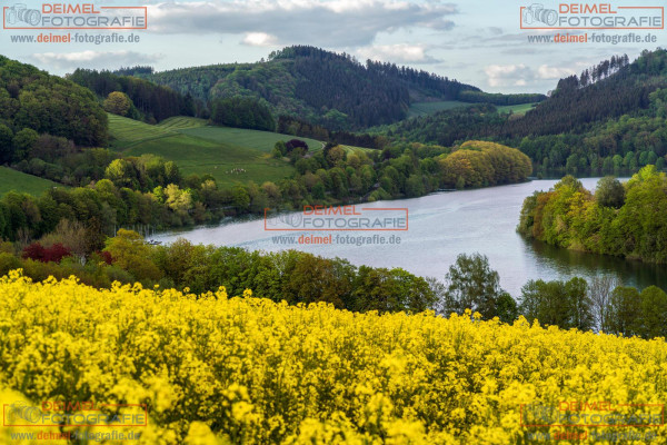 Hennesee - Frühling 1