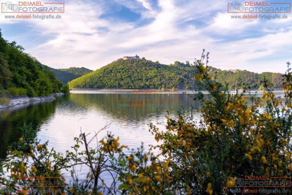 Edersee mit gelben Blumen