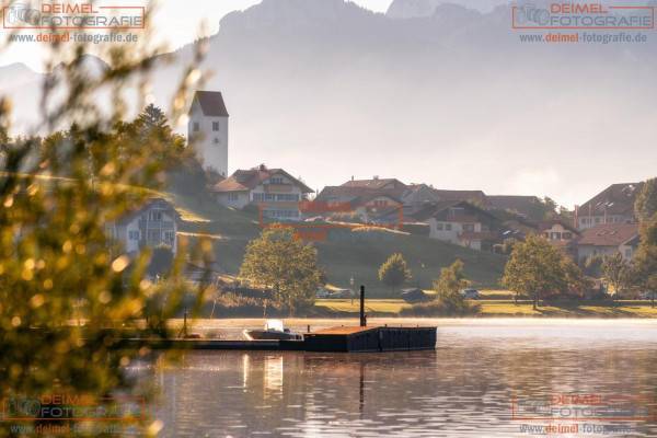 Hopfen am See Morgenstimmung