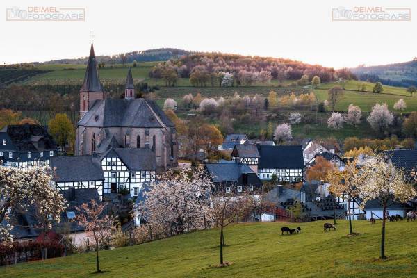 Assinghausen - Frühling 1