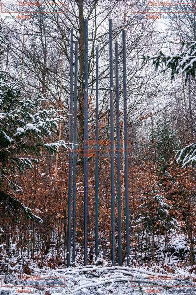 Über den Teichen - Waldskulpturenweg 1