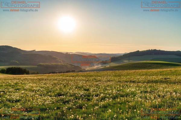 Oberhenneborn Landschaft