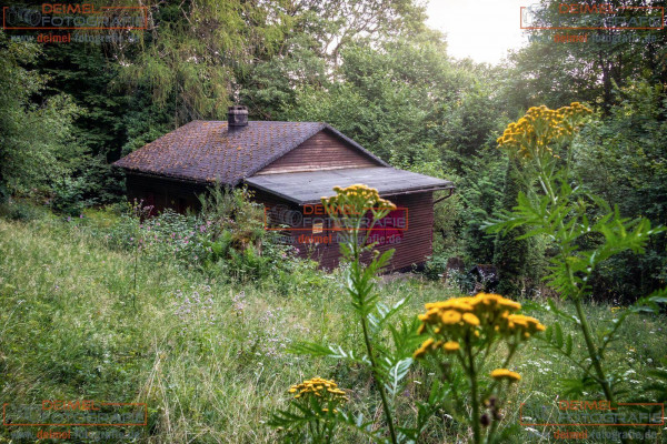 Hütte im Wald